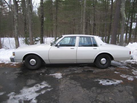 2001 Ford Crown Victoria - This white sedan, likely from the 1980s, is seen from the side in a wooded area with snow on the ground.