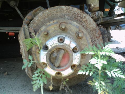 1990 Ford Bronco - This rusty wheel hub, possibly from an older truck, is partially obscured by weeds and plants.