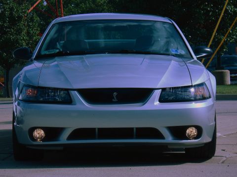 1998 Ford Taurus - Silver 2001 Ford Mustang Cobra front view shows distinctive grille and fog lights.