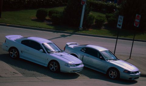 1998 Ford Taurus - Two Ford Mustangs, likely a 1999 model and another from the same generation, are parked together on a street.