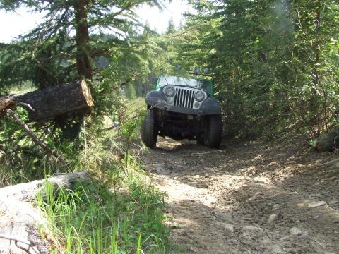 1990 Ford Bronco - A green Jeep Wrangler navigates a muddy, wooded path with a fallen tree nearby.