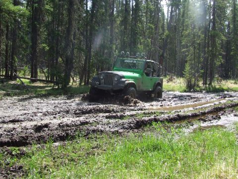 1990 Ford Bronco - Jeep Wrangler stuck in mud on a forest trail, with text on windshield reading 'ARBUCKLE CA'.