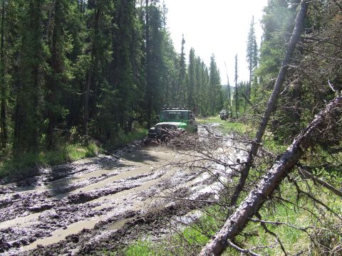 1990 Ford Bronco - Off-roading through a deep mud pit on a wooded trail.
