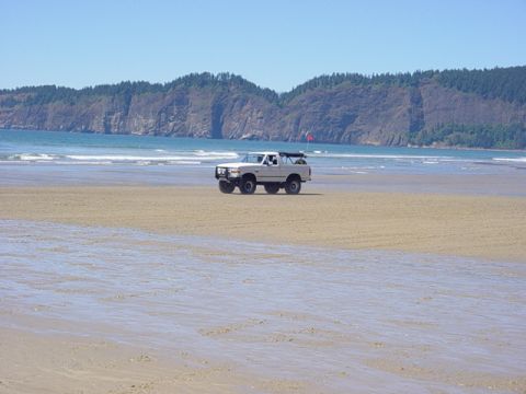 1995 Jeep Wrangler “Black Dragon”