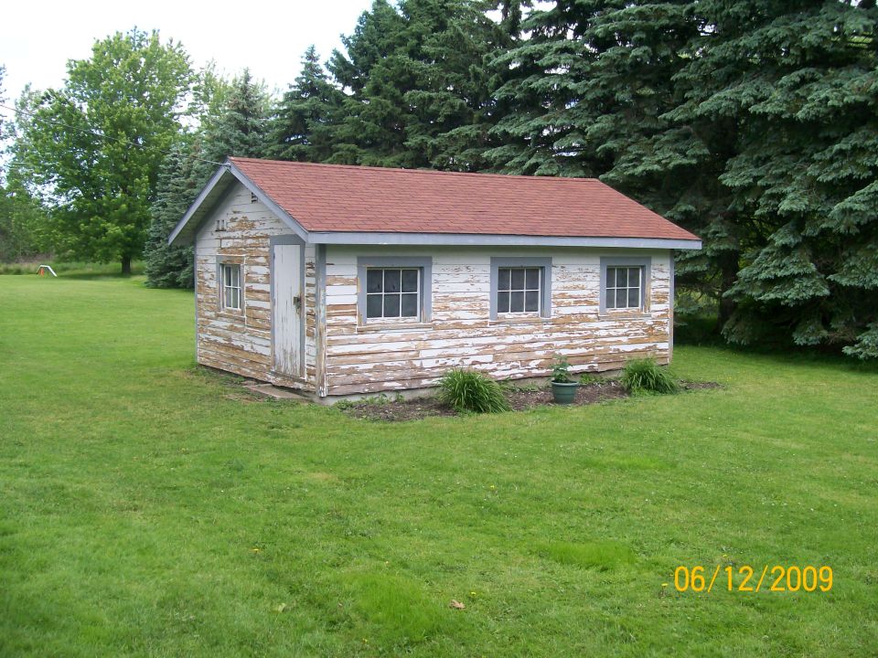 Small white peeling-paint shed with red shingle roof on a green lawn beside evergreen trees