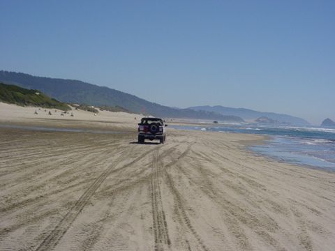 1995 Jeep Wrangler “Black Dragon”