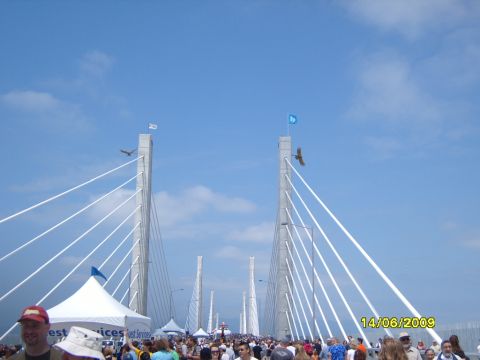 1989 Ford Bronco - A large gathering of people walk across a suspension bridge on a clear day.