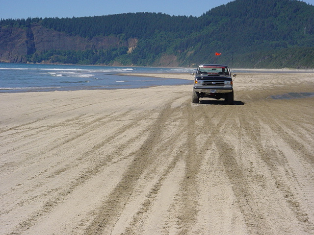 Dark lifted 4x4 with red dune flag driving on a tire-tracked coastal beach