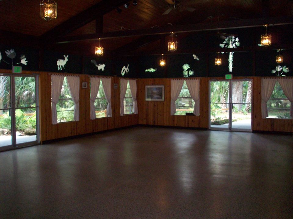 Interior of a room with wood paneling, white curtains, and animal cutouts on the wall