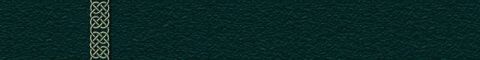 2006 Harley-Davidson Sportster Custom - Decorative Celtic knot trim on a dark, textured background.