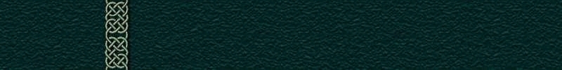 Close-up of a Celtic knot pattern trim on a dark, textured material
