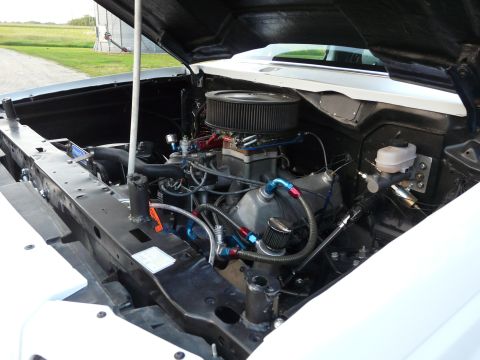 1994 Ford F-150 - Open engine bay of a white truck photographed from the passenger side, showing a carbureted V8 with a large round chrome-topped air cleaner…