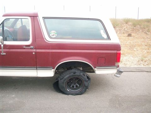 1989 Ford Bronco - yup....
