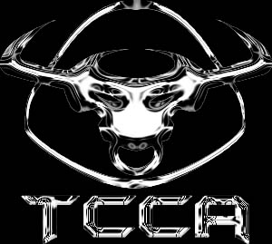 2002 Ford Taurus - Chrome-effect club logo graphic on a black background: a stylized longhorn bull head with curved horns above the letters "TCCA" rendered in…