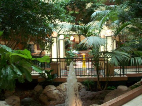 1985 Ford Bronco - An indoor garden space features a fountain and tropical plants, creating a tranquil atmosphere.