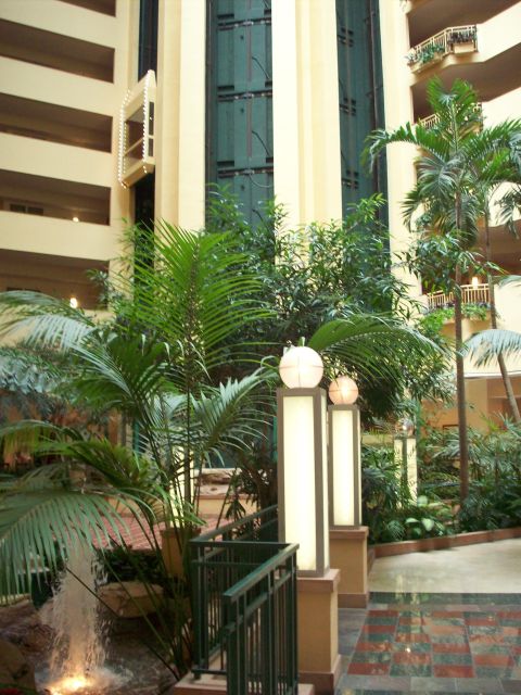 1985 Ford Bronco - Interior view of a hotel atrium filled with tropical plants and a central elevator shaft.