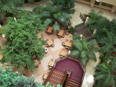 1985 Ford Bronco - An indoor atrium features seating areas amidst abundant greenery and a prominent staircase.