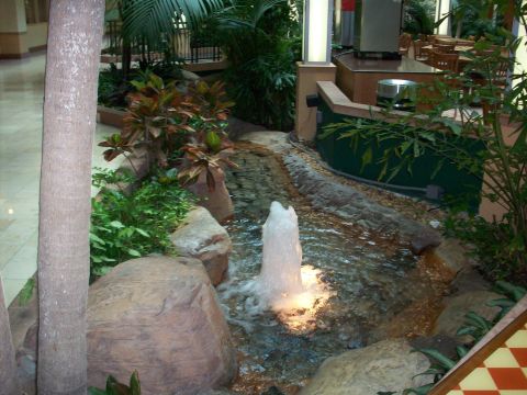 1985 Ford Bronco - An indoor water feature with a fountain and lush greenery creates a tranquil atmosphere.