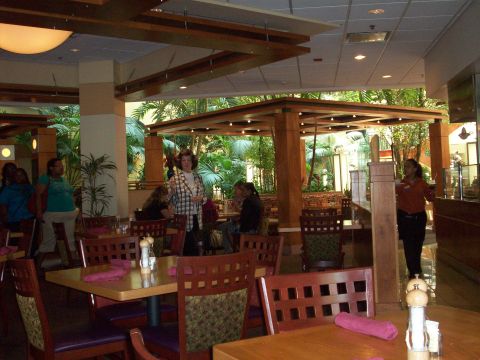 1985 Ford Bronco - Interior view of a restaurant with tropical plants and seating areas.