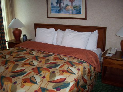 1985 Ford Bronco - Interior view of a hotel room a bed with patterned bedding and white pillows.