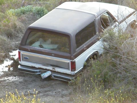 1982 Ford Bronco - This Ford Bronco appears to be stuck off-road in a muddy, overgrown area. The rear view shows its license plate.