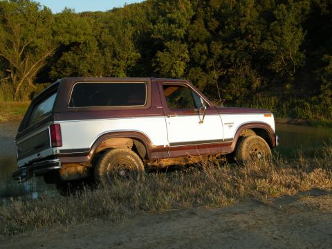 1982 Ford Bronco - This two-tone brown and white Ford Bronco is seen from the side, parked on a grassy incline with trees in the background.
