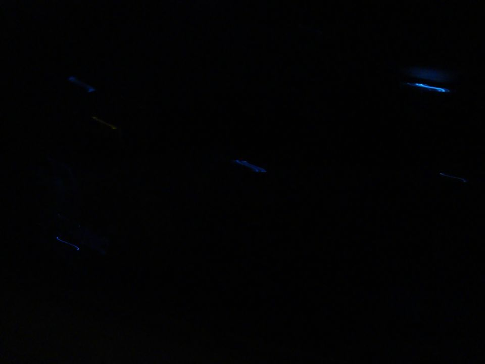 Near-black night photo with faint blue glowing accent lights in a dark car interior