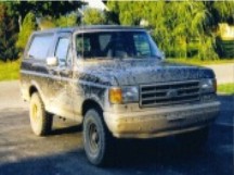 1989 Ford Bronco - Bronco Avatar. MJ