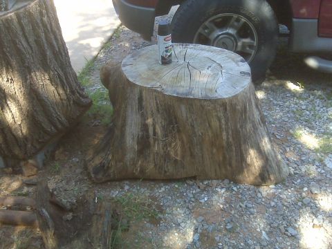1965 Ford Mustang - A tree stump sits on gravel, with a spray can on its surface and a vehicle tire visible to the right.