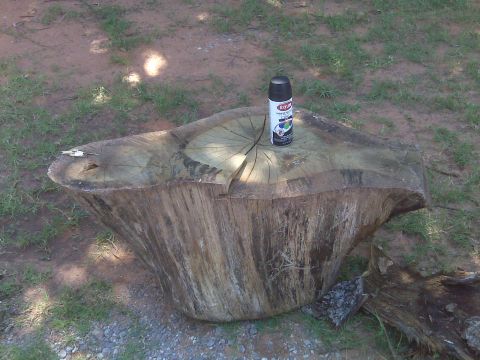 1965 Ford Mustang - A tree stump sits outdoors with a can of spray paint on its surface.