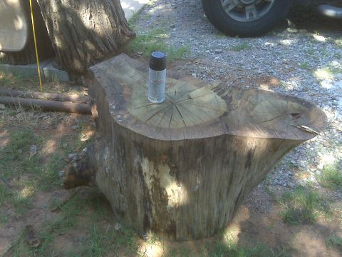 1965 Ford Mustang - A spray can sits on a large tree stump outdoors, with part of a vehicle visible in the background.