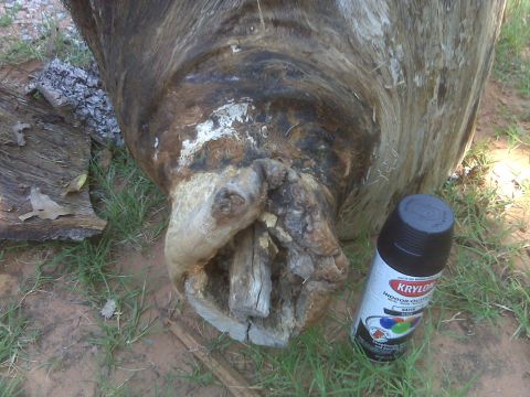 1965 Ford Mustang - A can of Krylon spray paint sits on the grass next to a large, gnarled tree trunk.