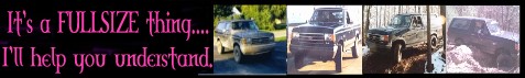 1989 Ford Bronco - Sig. Line 01