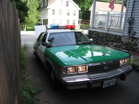 1991 Ford LTD Crown Victoria - green-and-white Ford LTD Crown Victoria styled as a police cruiser with a rooftop lightbar sits in a residential driveway.