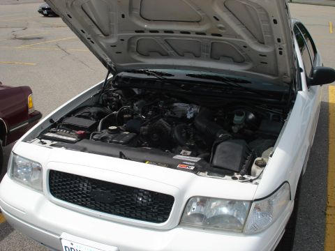 2000 Ford Crown Victoria - The engine bay of a white 2000 Ford Crown Victoria is visible with the hood raised.