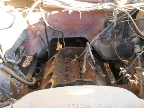 1984 Ford Bronco photo