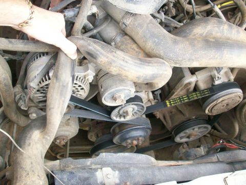 1989 Ford Bronco - Serpentine Belt w/o smog pump