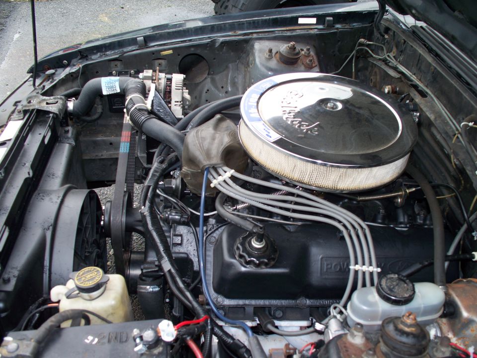 1988 Ford Mustang “Darkhorse”