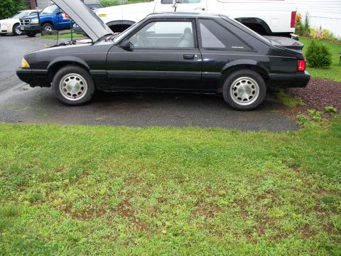 1988 Ford Mustang - youd never know what lurks under the hood from the outside, i love the sleeper look!
