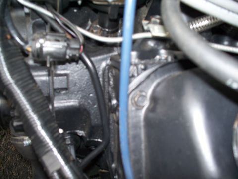 1988 Ford Mustang - Close-up view of engine components, likely from a 1988 Ford Mustang.