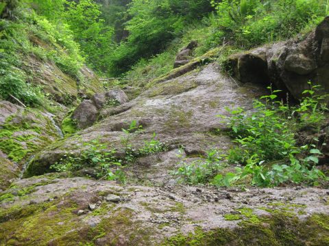 2010 Ford Pickup - A natural landscape scene of a rocky hillside covered in moss and vegetation.
