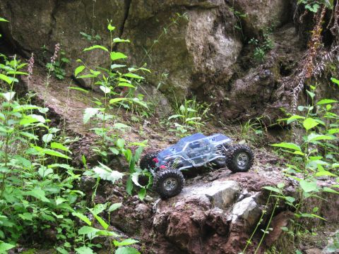 2010 Ford Pickup - A remote-controlled rock crawler navigates a , natural terrain with dense foliage.