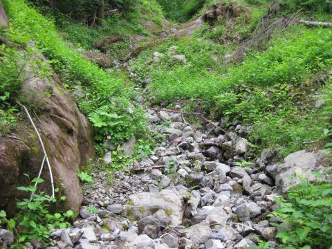 2010 Ford Pickup - A natural scene of a rocky streambed surrounded by lush green vegetation and trees.