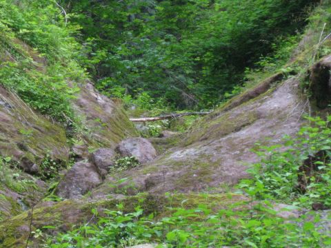 2010 Ford Pickup - A natural scene of a ravine filled with rocks, moss, and lush green vegetation.