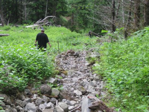 2010 Ford Pickup - Two individuals traverse a challenging, rocky path through a dense, green forest environment.