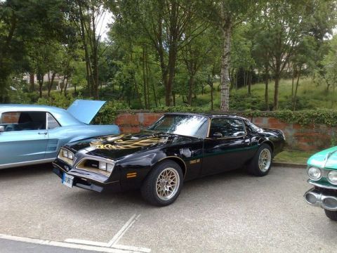 1991 Ford LTD Crown Victoria - A black 1979 Pontiac Firebird Trans Am is parked next to a light blue car and a green car.