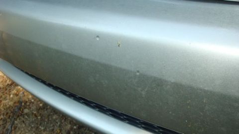 2001 Lexus IS 300 “Lynn”