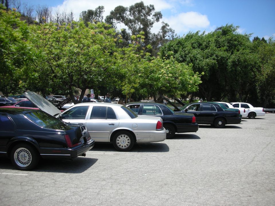 Several Ford Crown Victorias parked in a lot, one with its hood up