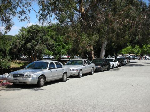 1992 Ford Crown Victoria - Several Ford Crown Victorias are parked in a line on a sunny day.