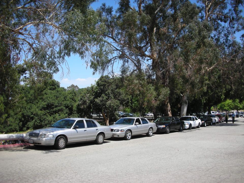 Several police cars parked in a line on a sunny day